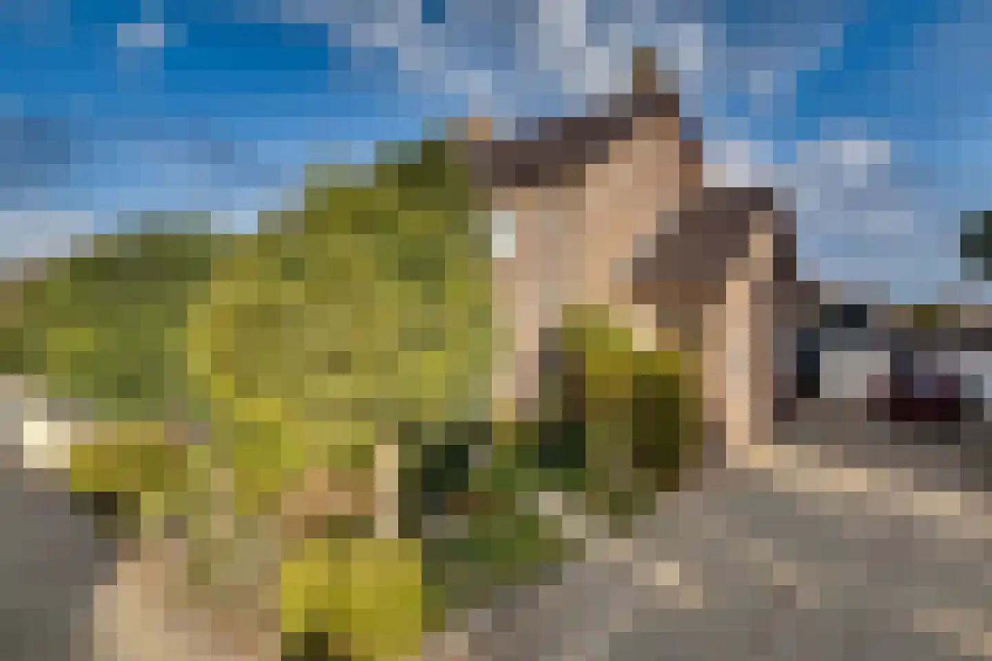 Beethovenlaan 71 Apeldoorn thumbnail 35