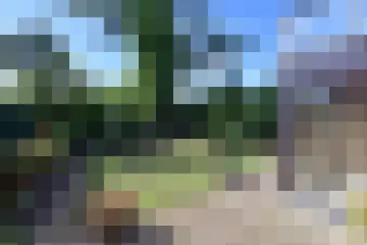 Beethovenlaan 74 Naarden thumbnail 5