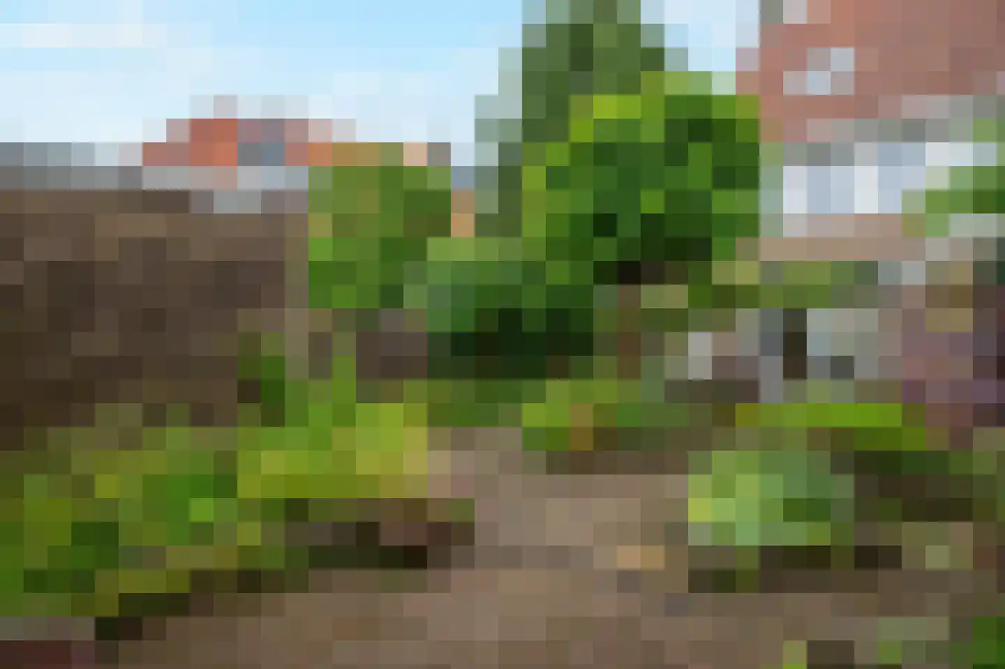 Beethovenlaan 75 Arnhem thumbnail 37