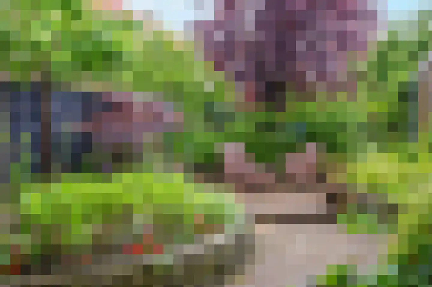 Beethovenlaan 75 Arnhem thumbnail 39