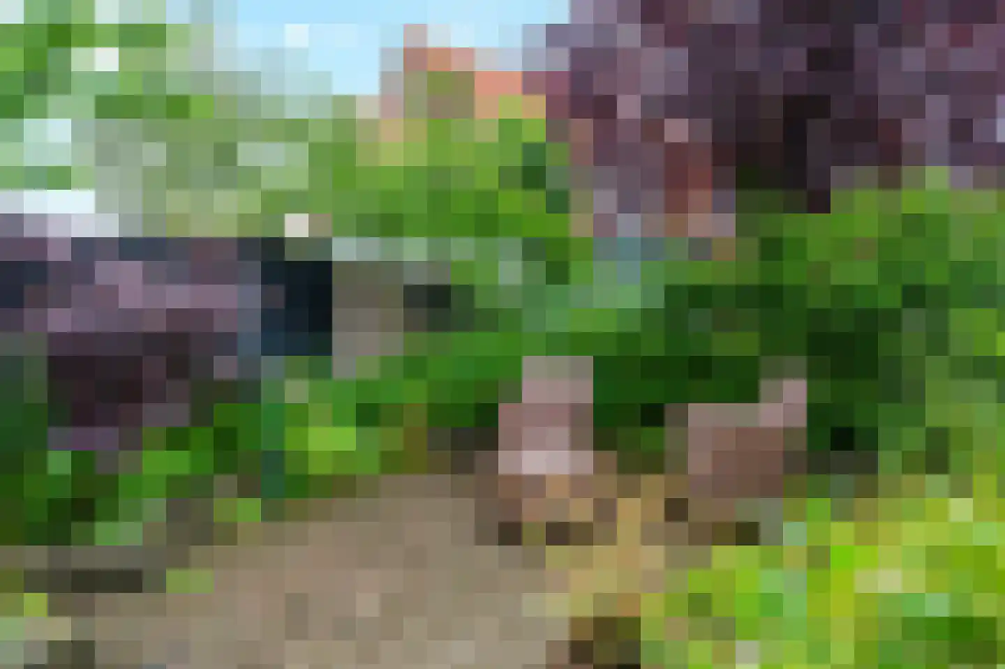 Beethovenlaan 75 Arnhem thumbnail 40