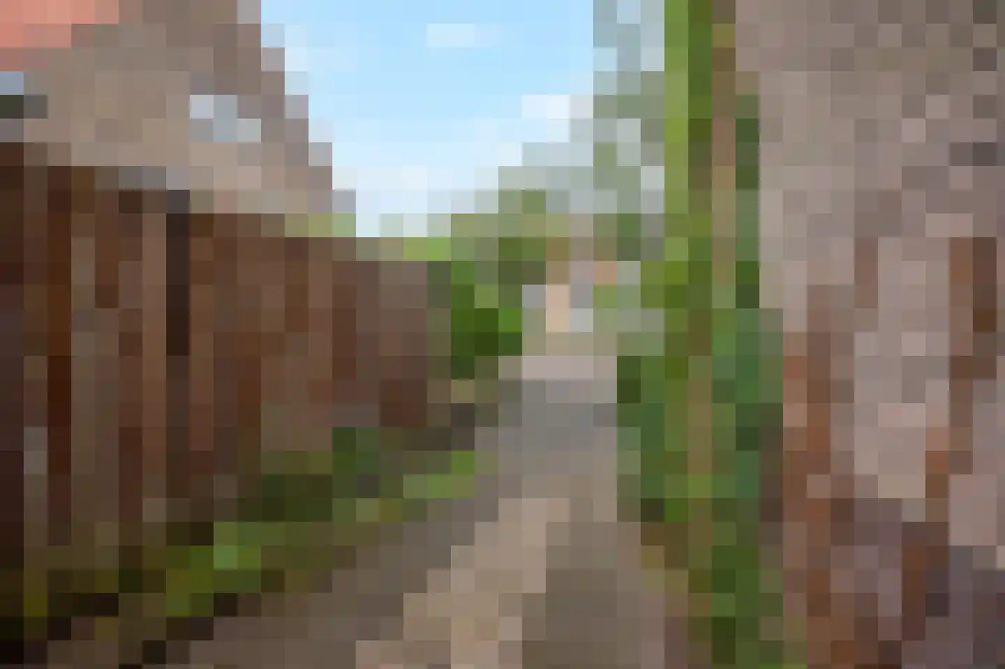 Beethovenlaan 75 Arnhem thumbnail 43