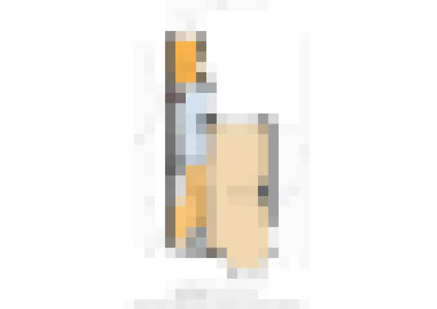 Beethovenlaan 75 Arnhem thumbnail 45