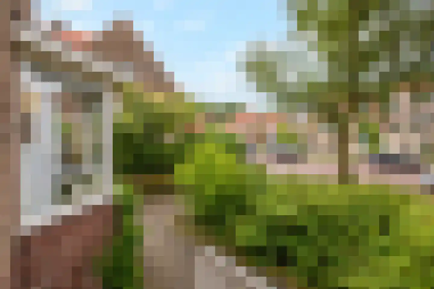 Beethovenlaan 75 Arnhem thumbnail 7