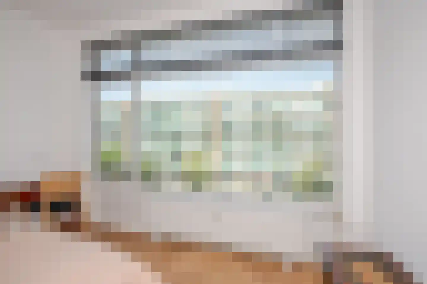 Beethovenlaan 77 Den Haag thumbnail 35