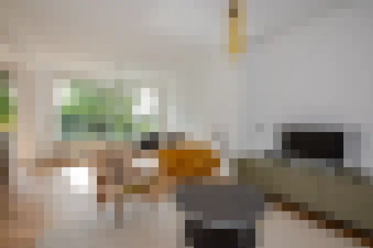 Beethovenlaan 77 Den Haag thumbnail 4