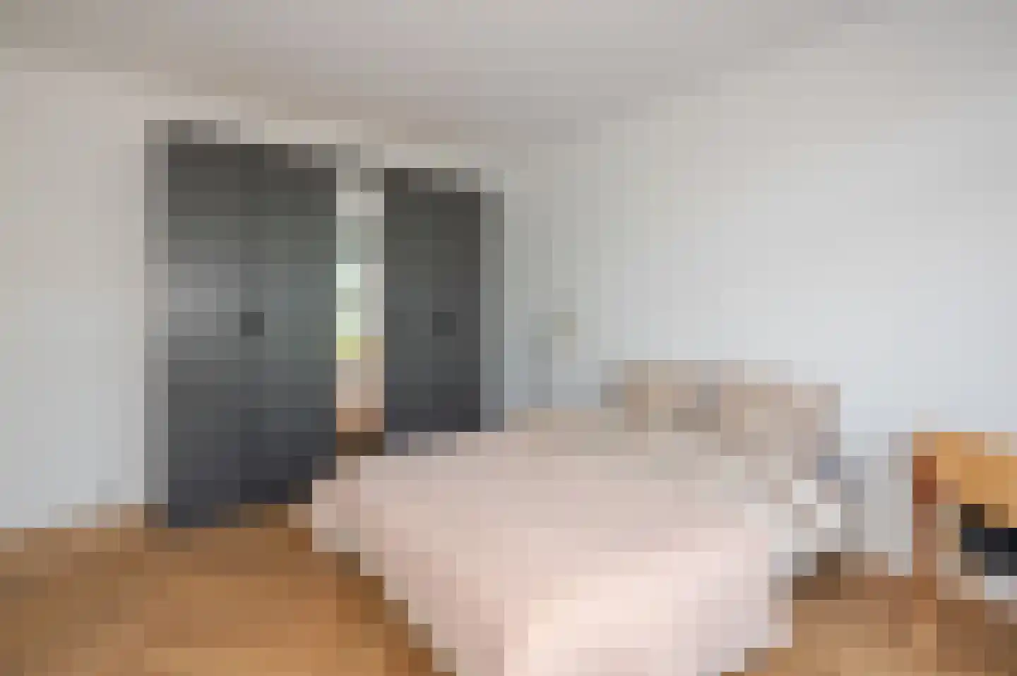 Beethovenlaan 77 Den Haag thumbnail 5