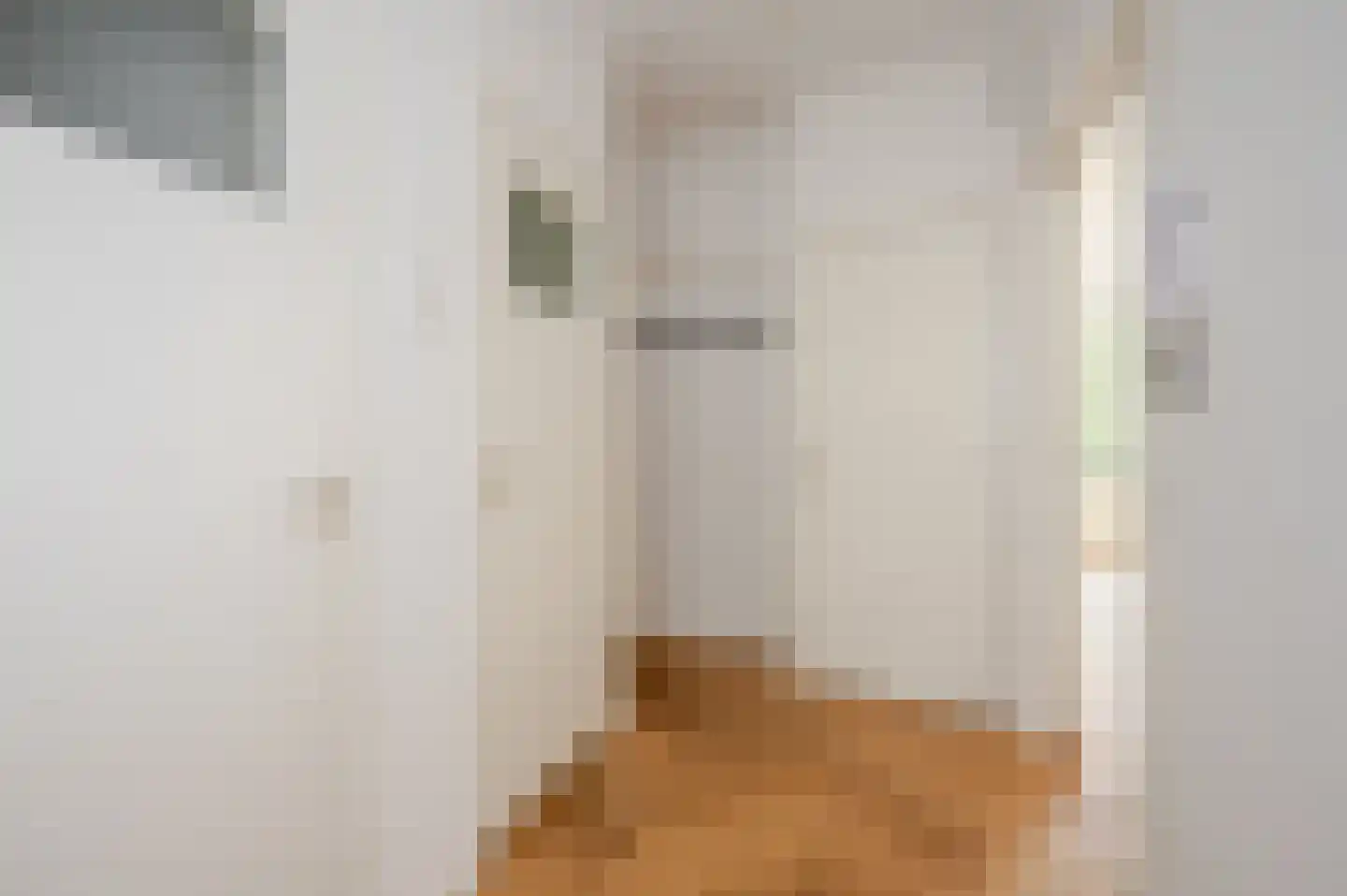 Beethovenlaan 77 Den Haag thumbnail 9