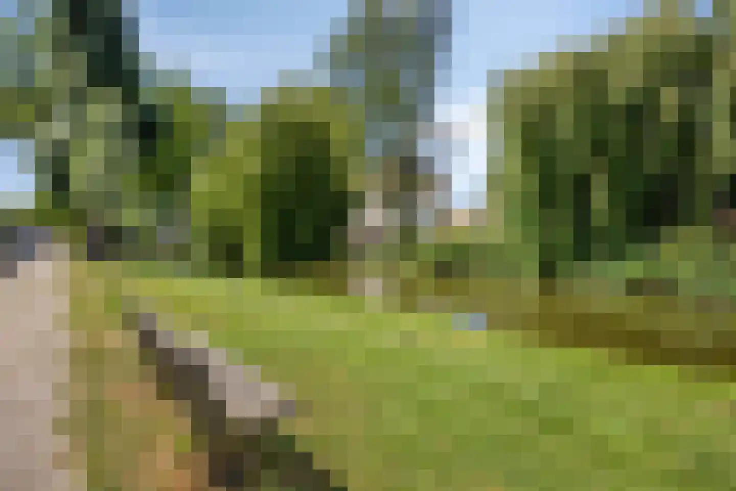 Beethovenlaan 78 Aalsmeer thumbnail 41