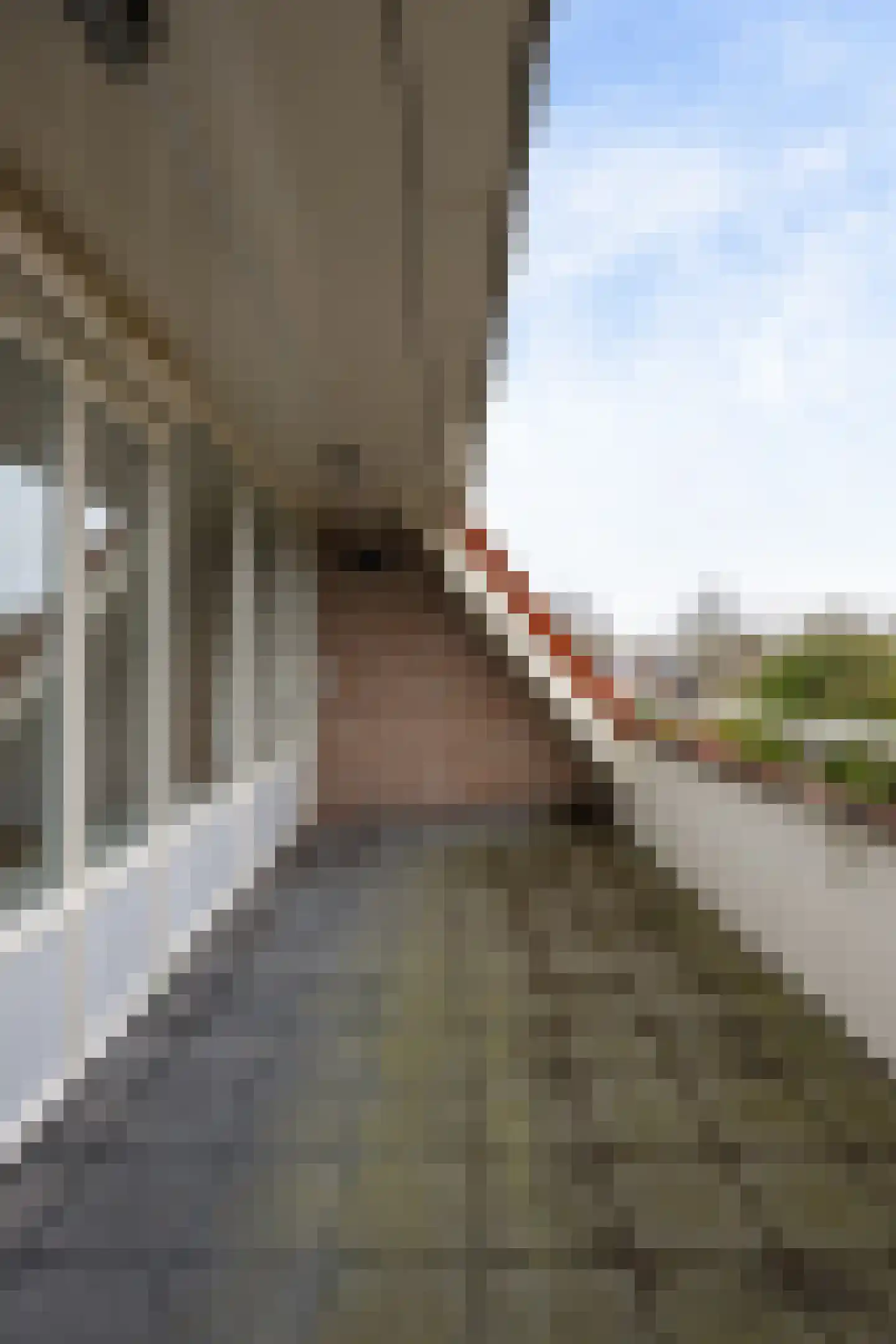 Beethovenlaan 8 A Schagen thumbnail 23