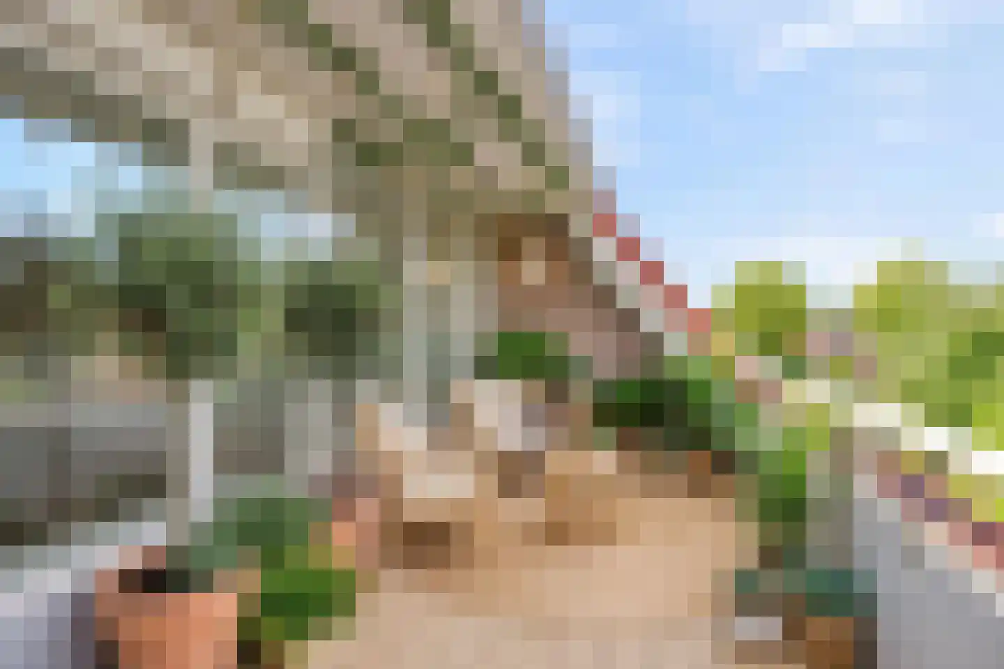 Beethovenlaan 8 A Schagen thumbnail 30