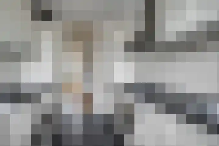 Beethovenlaan 8 Leidschendam thumbnail 15