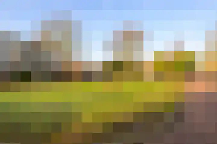 Beethovenlaan 8 Leidschendam thumbnail 20