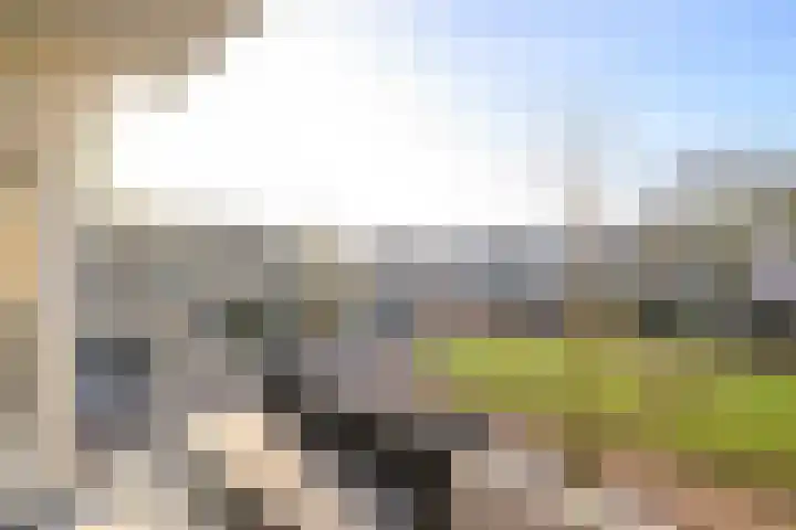 Beethovenlaan 8 Leidschendam thumbnail 4