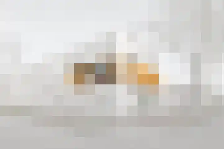 Beethovenlaan 8 Leidschendam thumbnail 5