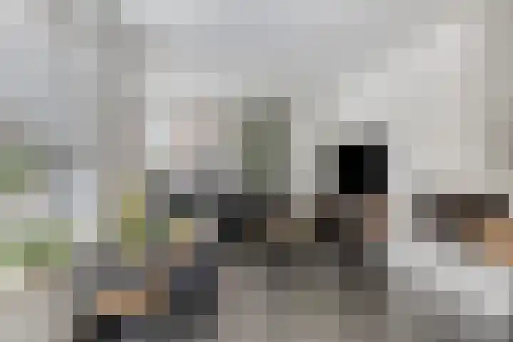 Beethovenlaan 8 Waalre thumbnail 10