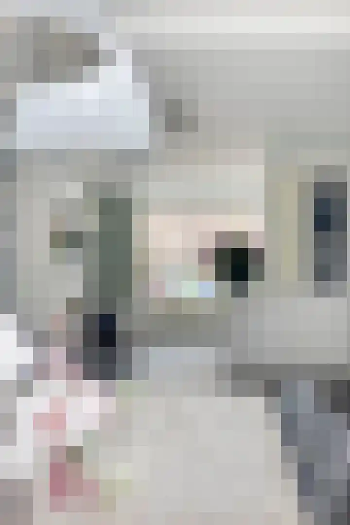 Beethovenlaan 8 Waalre thumbnail 15