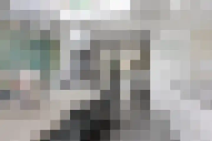 Beethovenlaan 8 Waalre thumbnail 16