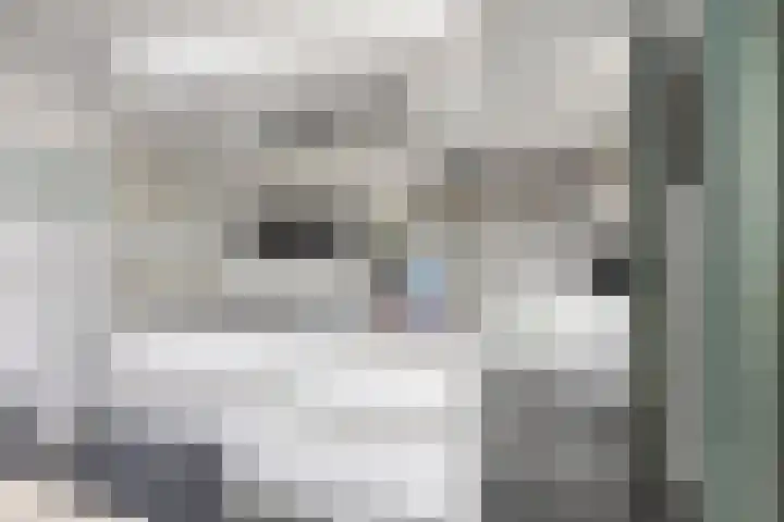 Beethovenlaan 8 Waalre thumbnail 18