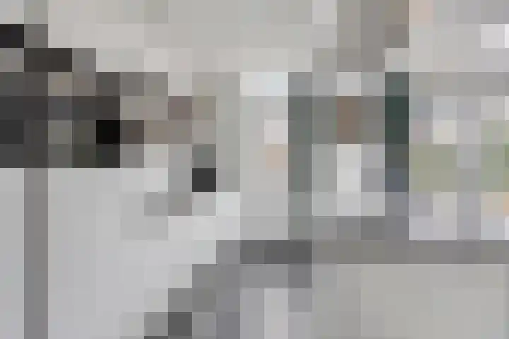 Beethovenlaan 8 Waalre thumbnail 21