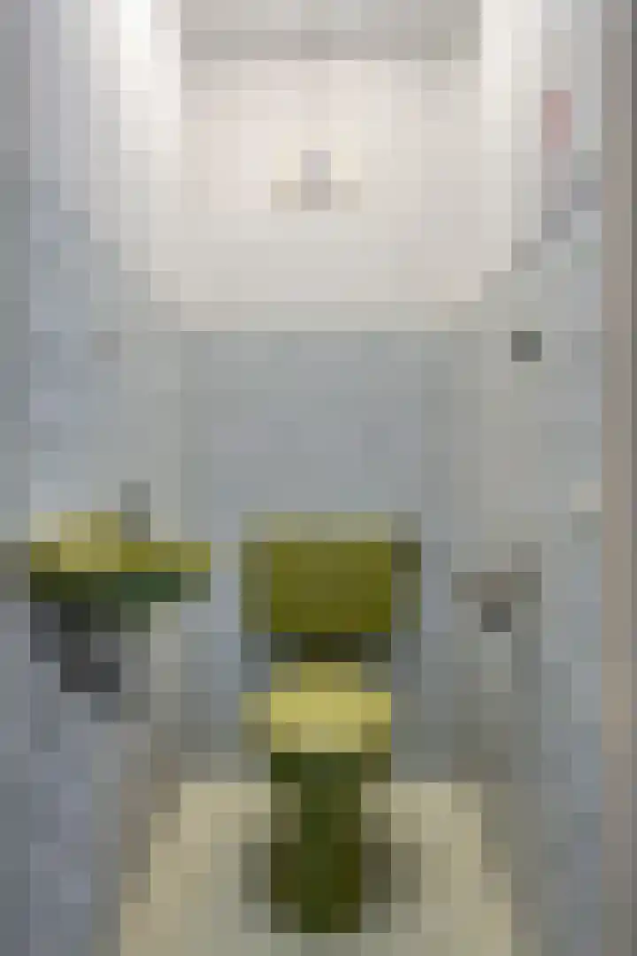 Beethovenlaan 8 Waalre thumbnail 23