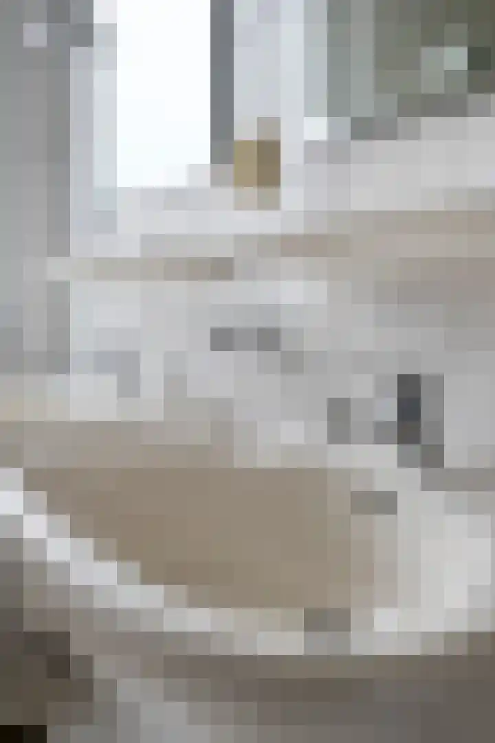 Beethovenlaan 8 Waalre thumbnail 28