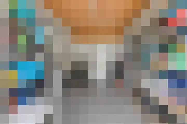 Beethovenlaan 8 Waalre thumbnail 37