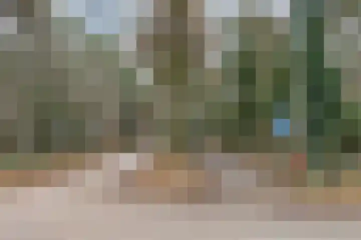 Beethovenlaan 8 Waalre thumbnail 43