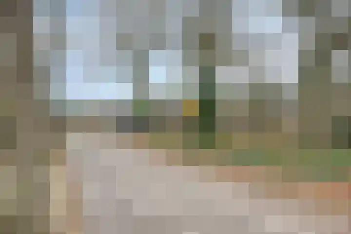 Beethovenlaan 8 Waalre thumbnail 44
