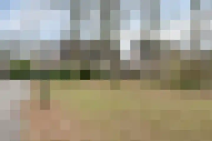 Beethovenlaan 8 Waalre thumbnail 45