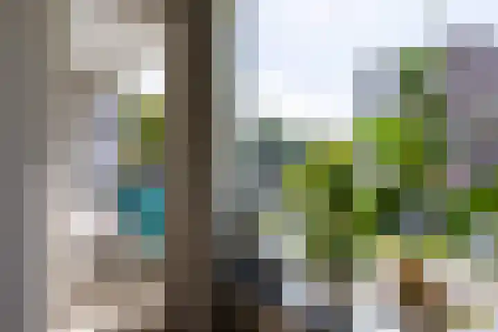 Beethovenlaan 80 Groningen thumbnail 14