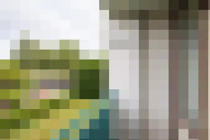 Beethovenlaan 80 Groningen thumbnail 24
