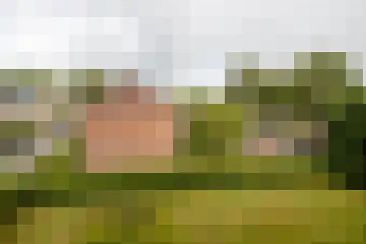 Beethovenlaan 80 Groningen thumbnail 27