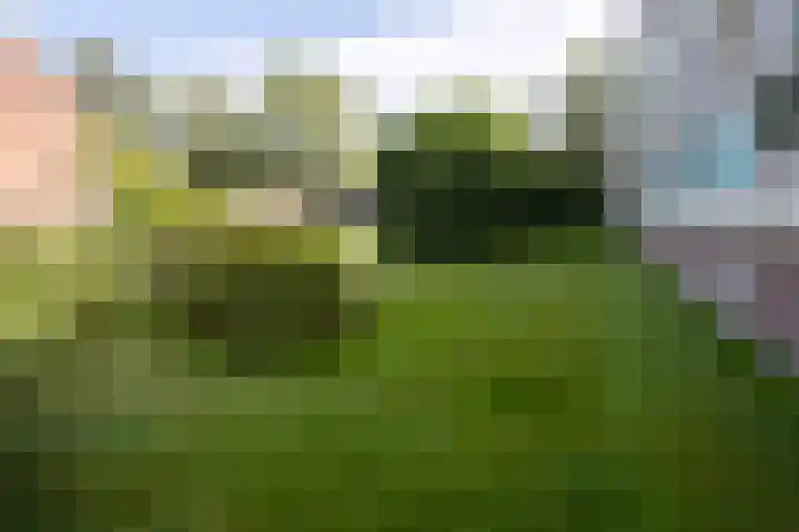 Beethovenlaan 80 Groningen thumbnail 28