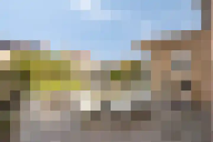 Beethovenlaan 83 Goes thumbnail 25