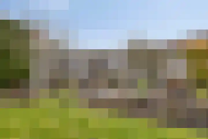 Beethovenlaan 83 Goes thumbnail 28