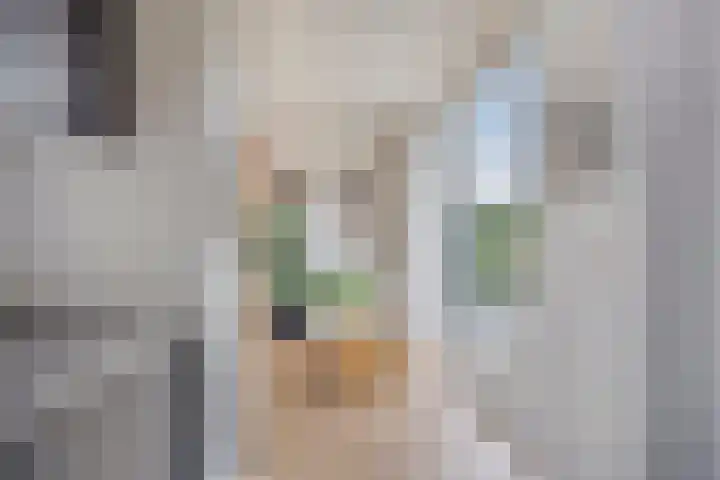 Beethovenlaan 83 Goes thumbnail 9