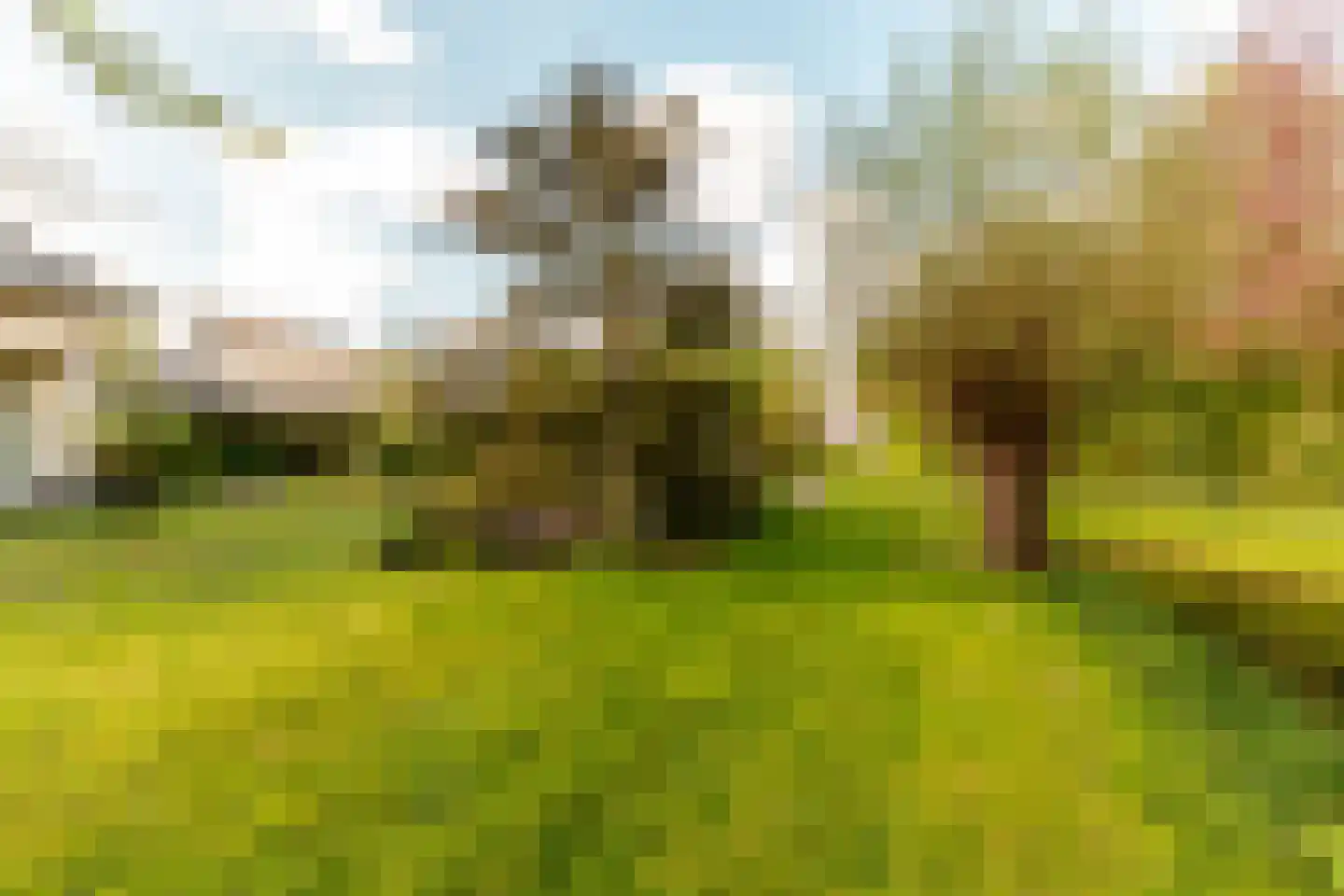 Beethovenlaan 83 Nunspeet thumbnail 35