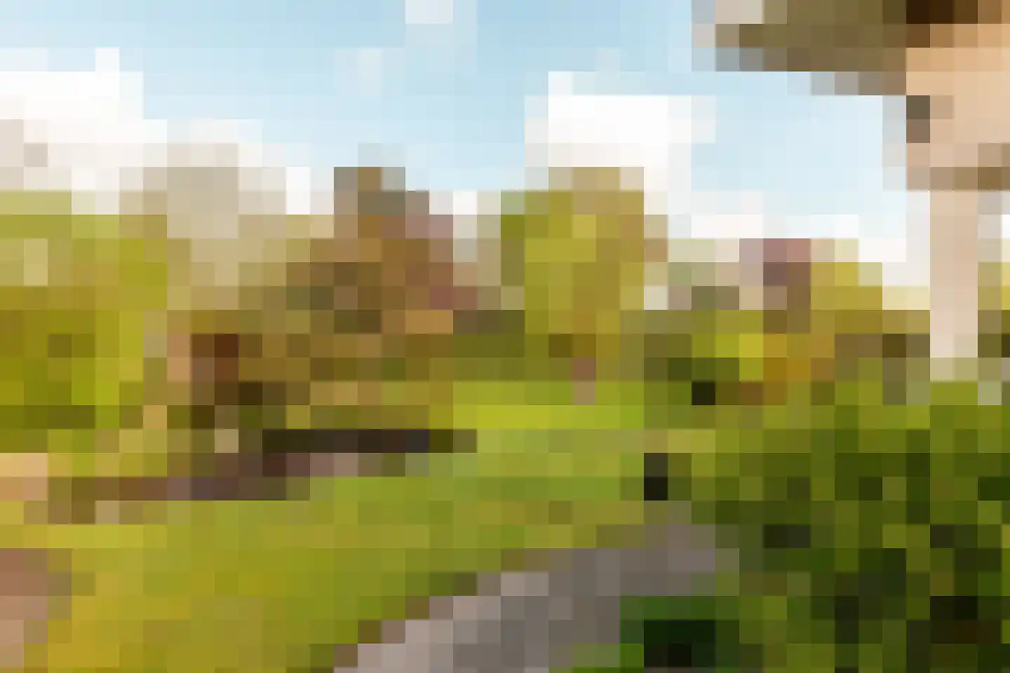 Beethovenlaan 83 Nunspeet thumbnail 36