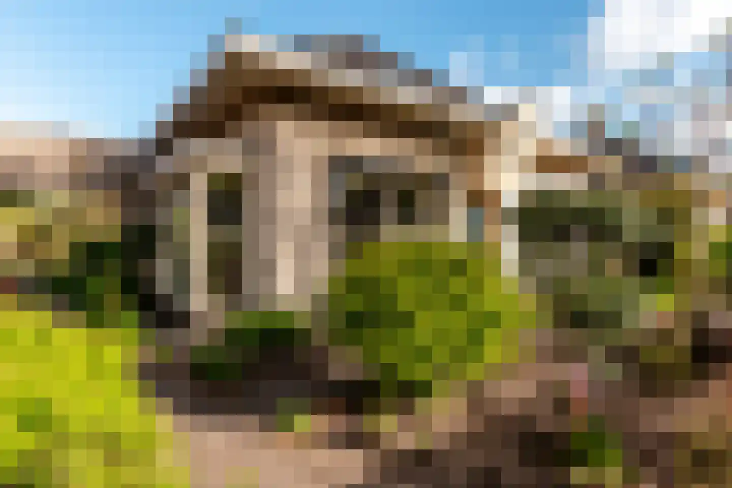 Beethovenlaan 83 Nunspeet thumbnail 38