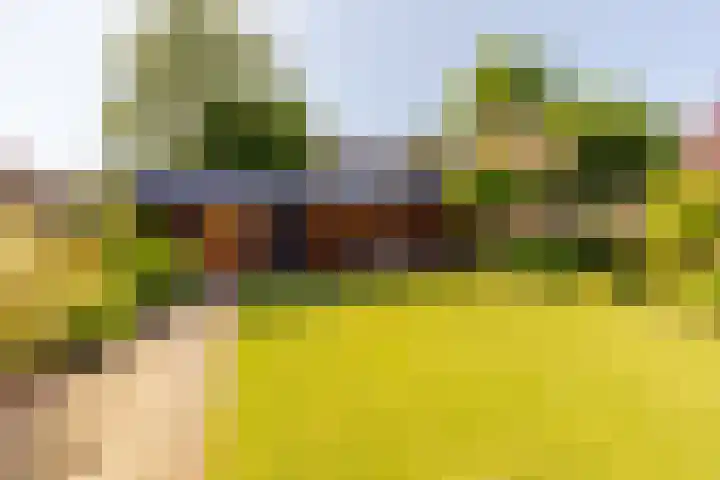 Beethovenlaan 9 Heemstede thumbnail 31