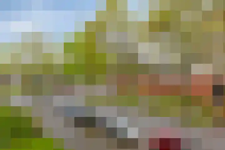 Beethovenlaan 90 Groningen thumbnail 16