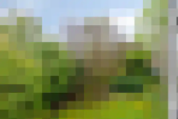 Beethovenlaan 90 Groningen thumbnail 19