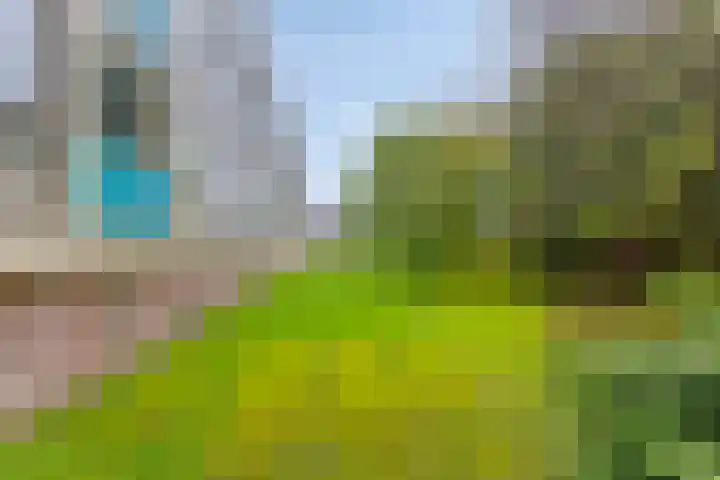 Beethovenlaan 90 Groningen thumbnail 25