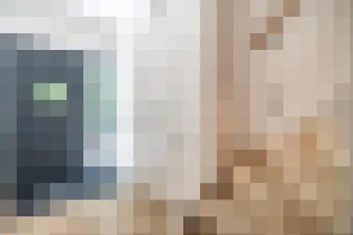 Beethovenlaan 92 Leiden thumbnail 29