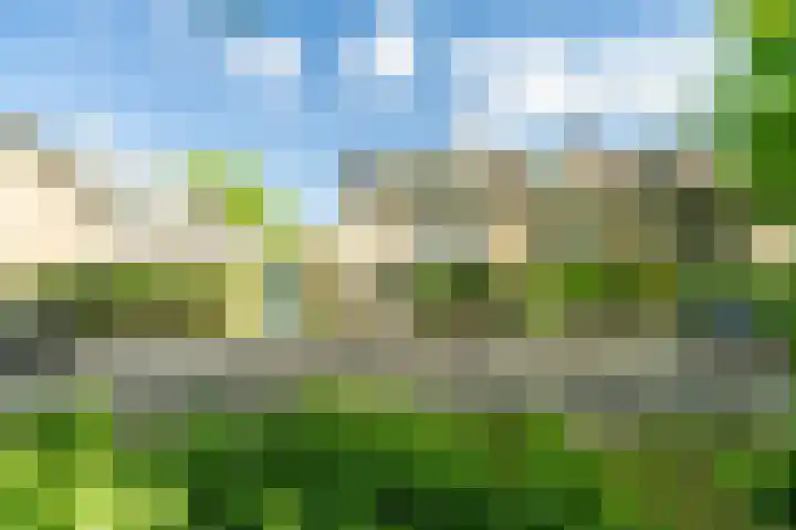 Beethovenlaan 92 Leiden thumbnail 4