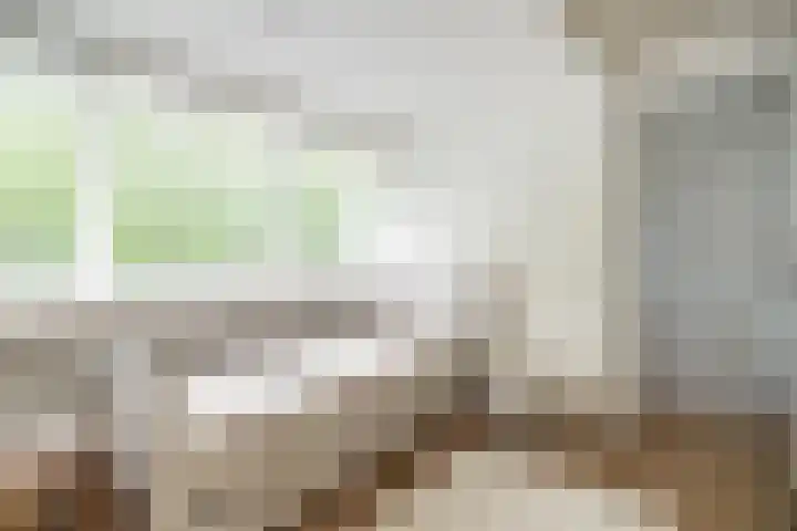 Beethovenlaan 92 Leiden thumbnail 55