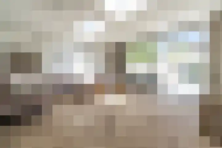 Beethovenlaan 92 Leiden thumbnail 9