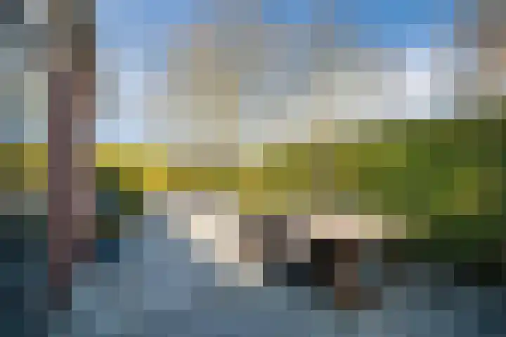 Beethovenplaats 54 Assen thumbnail 27