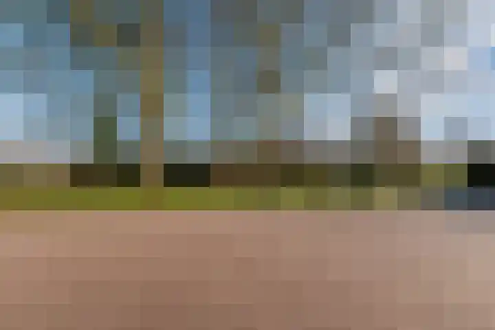 Beethovenplaats 54 Assen thumbnail 37